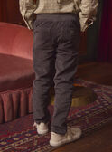 Graue Hose aus Samt LADURAGE / 24H3PGQ1PANJ909