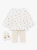 Set mit Jacke, Hose und Söckchen in Ecru und Grau LOICE / 24H0CM12ENS001