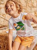 Kurzärmeliges Ecru-T-Shirt FLEFROGAGE / 23E3PGS3TMC001