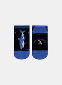 Jersey-Socken mit Jaquardmuster und Haifischmotiv in Blau KLOCHAGE / 24E4PGS1SOQC234