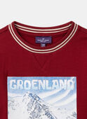 Grönland-T-Shirt LARENAGE / 24H3PGR2TML501
