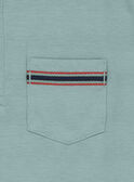 Kurzärmeliges T-Shirt grün RATICAGE1 / 19E3PGL1TMC610