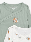 2 Bodys aus Baumwolle in Ecru und Khaki LOUIS / 24H0NG11BOD001
