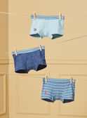 3er-Set Dino-Boxershorts LUIBOXAGE / 24H5PG52BOXC242