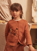 Braune Strickjacke LIREVETTE / 24H2PFK2CAR809
