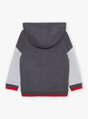 Kapuzen-Sweatshirt grau mit M-Stickerei FRIGILAGE / 23E3PGJ2JGHJ921