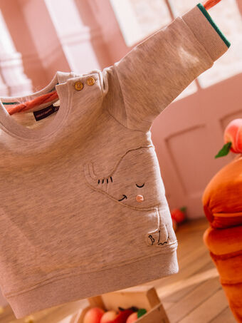 Baby Junge graues Sweatshirt mit Elefantenanimation CATOMMY / 22E1BGM1SWEJ922