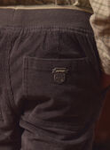 Graue Hose aus Samt LADURAGE / 24H3PGQ1PANJ909