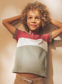 Colorblock-Poloshirt mit Dinosaurier FRIPLAGE1 / 23E3PGD1POL628