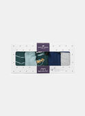 Green BOXER NUIBOXAGE / 25H5PGC1BOX608