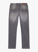 Reguläre graue Jeans FRIZIRAGE2 / 23E3PGB2JEAK004
