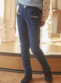 Blaue Denim Jeans GINETTE / 23H2PF91JEAP269