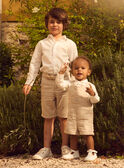 Edle Shorts in Beige MRERAGE / 25E3PGL1BERA016