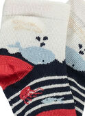 Blaue Socken RANINOU / 19E4BGE1SOQC214
