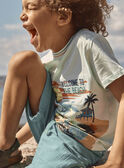 Helltürkisfarbenes T-Shirt mit kurzen Ärmeln FLUPLAGE / 23E3PGQ3TMCC216