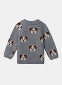 Jacquard-Pullover Hunde LAOREL / 24H1BGQ1PUL943