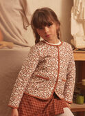 Braune Strickjacke LIREVETTE / 24H2PFK2CAR809