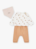 Set aus Oberteil, Hose und Bandana in Haselnussbraun und Ecru LOGAN / 24H0CG13ENS821