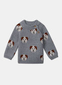 Jacquard-Pullover Hunde LAOREL / 24H1BGQ1PUL943